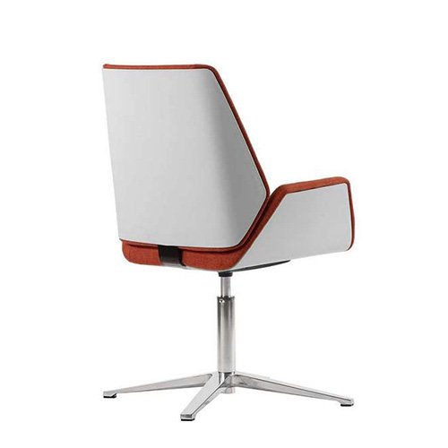 Shell White - Image 4